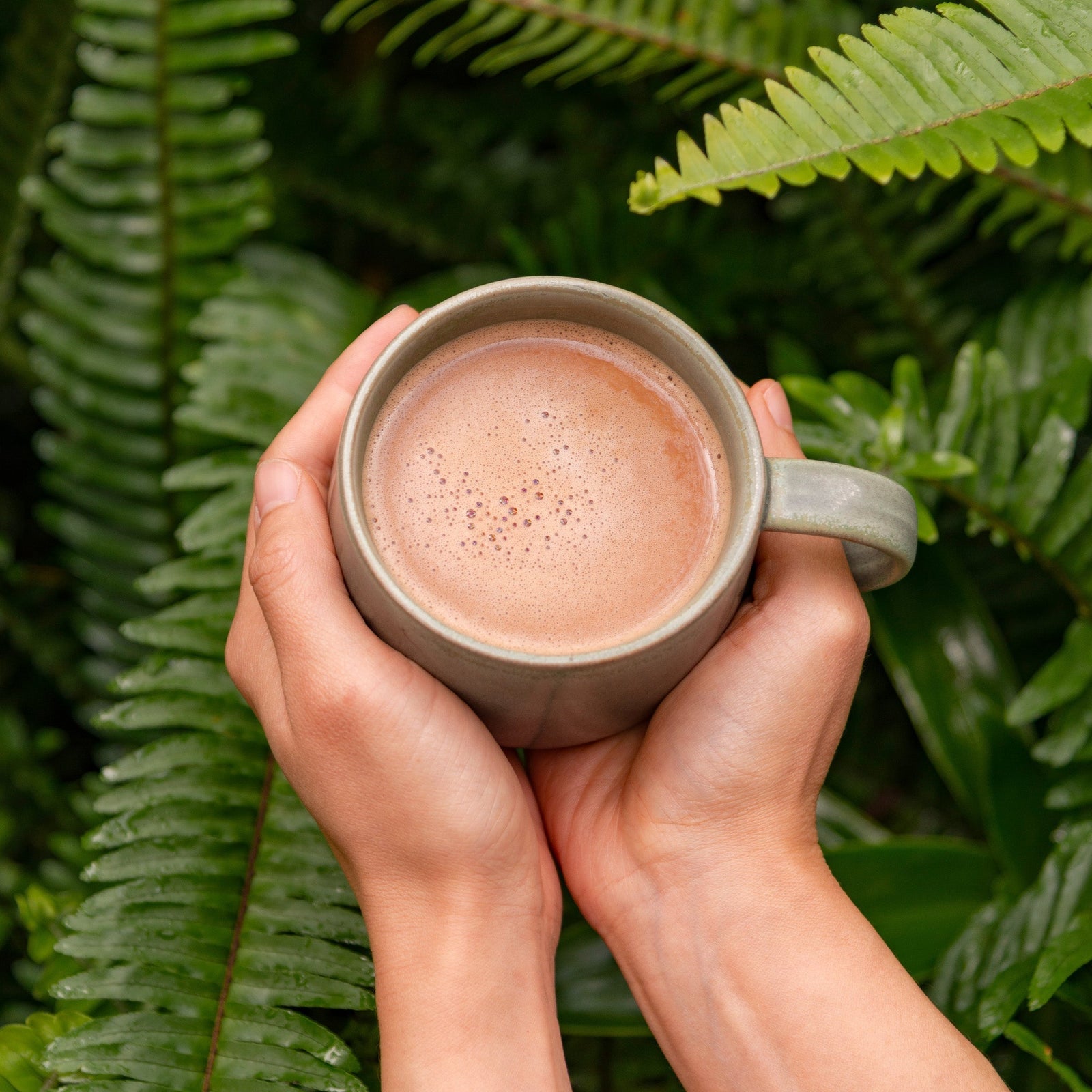 Metabolic boost hot chocolate recipe